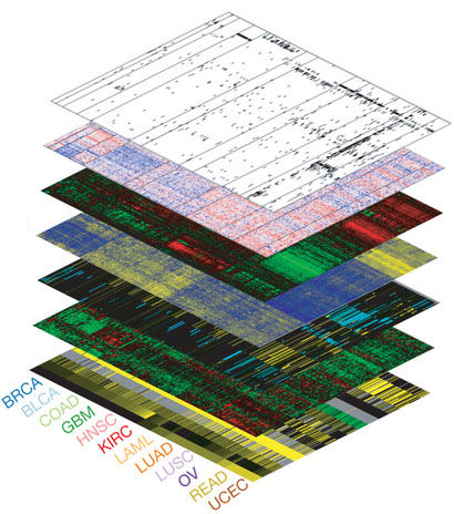 Pan cancer omics